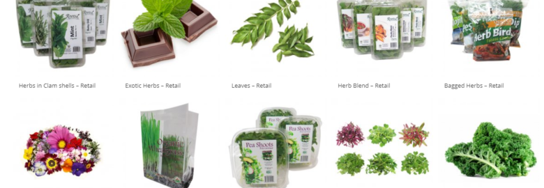 Evergreen Herbs Ltd