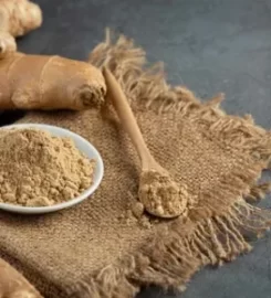 Pure Moringa Powder in Gujarat, India